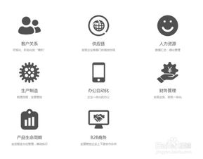 外貿(mào)公司管理軟件 現(xiàn)代化辦公平臺(tái)的開(kāi)發(fā)與制作